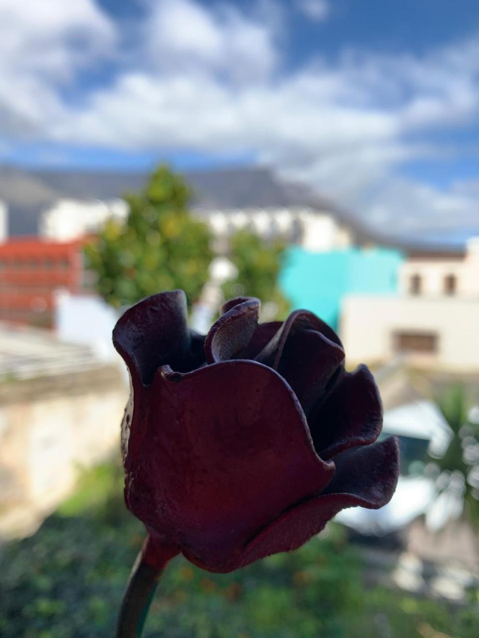 La Rose B&B Cape Town Exterior foto