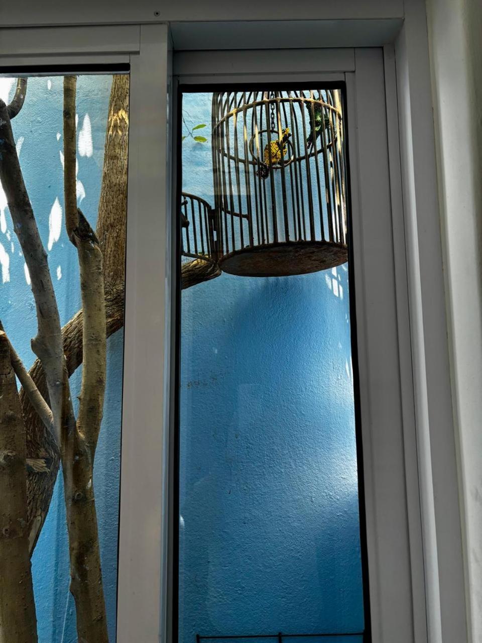 La Rose B&B Cape Town Exterior foto